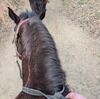 jessie_coan